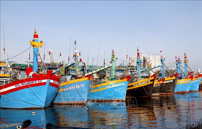 ラムドン省、IUU対策で省庁横断の作業部会を設置